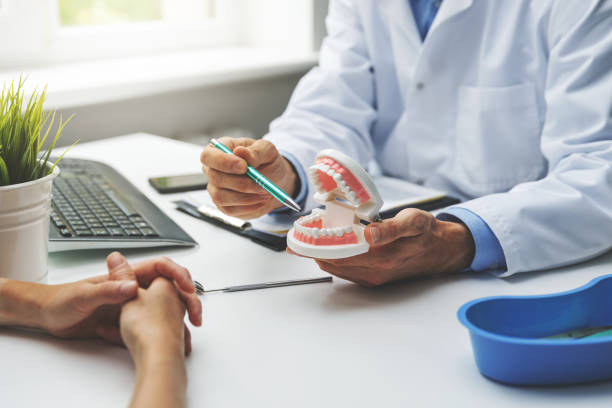 Reliable Evansburg, PA Holistic Dental Care Services Solutions